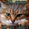 smirkingcat: (ears till claws)