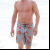mightbeagoodone: (bird board shorts)