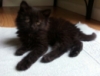 captainsblog: (Zoey)