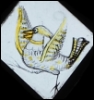 nightdog_barks: Medieval stained glass of a wonderfully goofy bird (Dickybird)