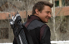 raine: (Avengers: Hawkeye Smiling back to camera)