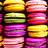 rainydayadvocate: (macarons)