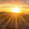 soundofsunlight: A beautiful sunrise. (reeds)