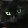 pensnest: A black cat with otherwise indistinguishable features stares with large green eyes. (Sable stares)