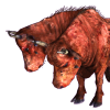 aaaaaaaagh_sky: (Brahmin)