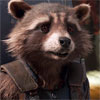 projectiletrashpanda: (Looking)