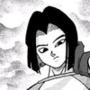 Android 17 [Lapis]
