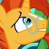 bibliocorn: (Wait what no books?)