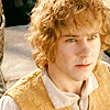 masterholbytla: (Marmadoc Brandybuck)