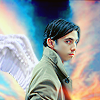 court: (i like wings.)