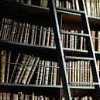violsva: full bookshelf with ladder (books)