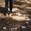 semicharmed: (fairy circle)