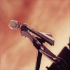 priscilla: (Where I can fly.)