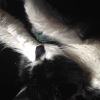 candace_k: (Default)