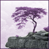 cesy: Purple-leaved tree (WhatDreamsMayCome)