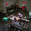 scientificist: (Medical)