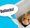 phosfate: a hamster in a cardboard box saying BOLLOCKS! (Bollocks! Hamster)