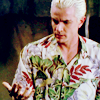 allbloodyhail: (hawaii says what)