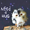 spinning_yarns: (hug owl)