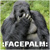 dhae_knight_1: facepalm (facepalm)