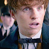 Newt Scamander