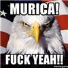 brickhousewench: (murica)