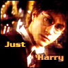 writerlibrarian: Just Harry Potter in golden tone (Just Harry)