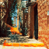 roga: (israel walls)