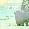 ext_9278: Bison (Gen Bison Survive)