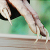 awakenedbeast: citadel_icons @ IJ (kitty’s got claws)