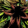 houmaprotector: (Still a monster)