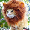 jenna_marianne: (Lion)