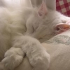 themogget: (010)