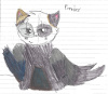 yamyam_kat: OC cat (Default)
