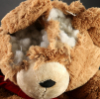 Theodore (Ted) Satchel