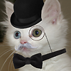 mayorsshi: (Default)