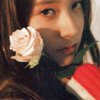 venusundae: krystal poses in the sun with a pretty rose (２２３ (the sun is often out))