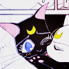 venusundae: moonkitties luna and artemis snuggling together (２５３ (you're as cool as could be))
