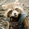 rocketraccoon: (008)