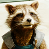 rocketraccoon: (009)