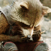 rocketraccoon: (010)