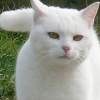 themogget: (036)
