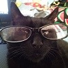 moonythejedi394: (Default)