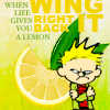 kiratael: When life gives you a lemon, wing it right back - Calvin (Default)