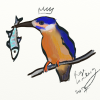egh: My Kingfisher (Default)