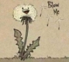 dandieelyon: dandelion (dandelion)
