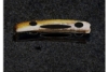 siliquasquama: it's a raxor clam with a face (Default)