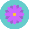 oftennot: A purple flower on a cyan background (Default)