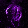 elliefint: The Cygnus Loop nebula, as detected in ultraviolet, shown in purple. (space)