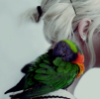 andtheblackbird: Photo of a parrot perched on a person's shoulder, both in profile. (Default)